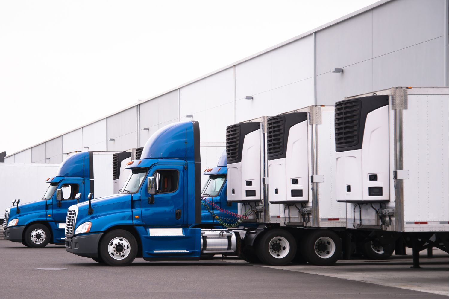 Image of multiple blue and white reefer trucks loading/unloading 